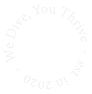 Dive x marketing